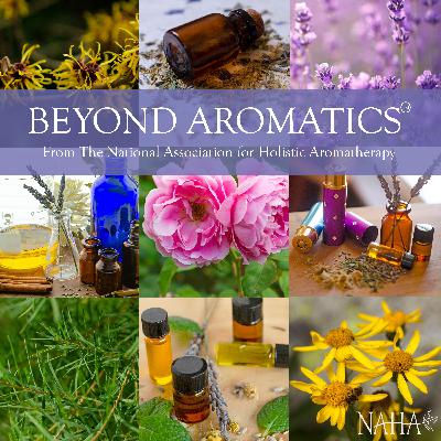 Saving the Bees with Amanda Plunkett