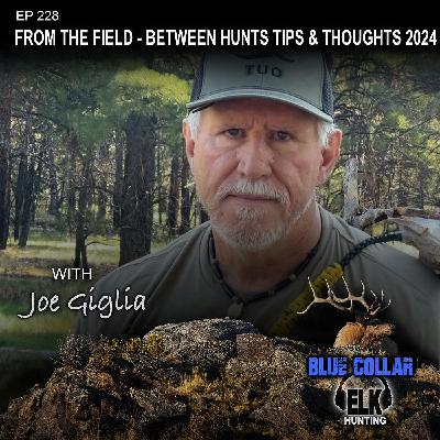 EP 228: From the Field - Between Hunts Tips & Thoughts 2024