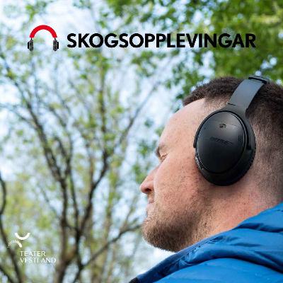 Skogsopplevingar