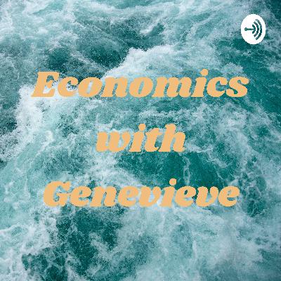 The Economics of Fast Fashion