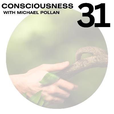 Episode #31 - A quick chat with Michael Pollan on Consciousness Episode #31 - A quick chat with Michael Pollan on Consciousness