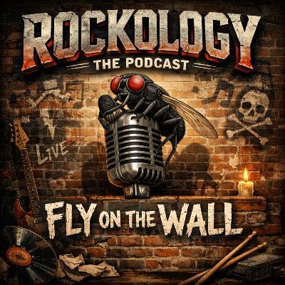 Fly on the wall