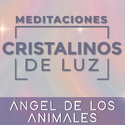 Ángel de los animales • Meditación guiada Cristalinos de Luz