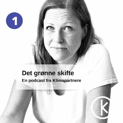 1. Medienes rolle i det grønne skifte 1. Medienes rolle i det grønne skifte