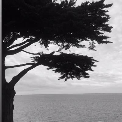 Episode #3 Cycling, fundraising and Suicide prevention with Dr Luke Sullivan