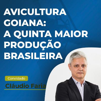 Avicultura Goiana: Desafios e Vantagens da quinta maior produção brasileira