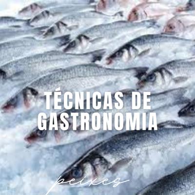 ESCOLHER PEIXES E FRUTOS DO MAR #12