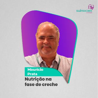 NUTRIÇÃO NA FASE DE CRECHE - Maurício Prata | Ep. 356 NUTRIÇÃO NA FASE DE CRECHE - Maurício Prata | Ep. 356