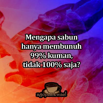 Mengapa sabun hanya membunuh 99% kuman, tidak 100% saja?