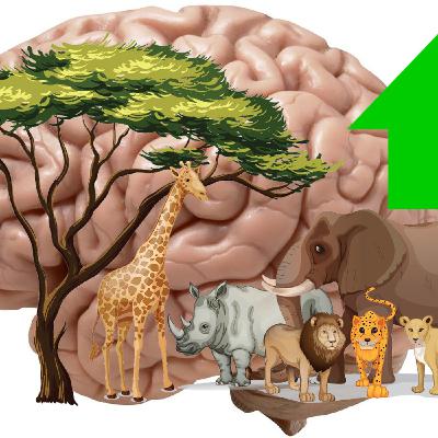 Non-Aggression Principle Animals Part 1 Non-Aggression Principle Animals Part 1