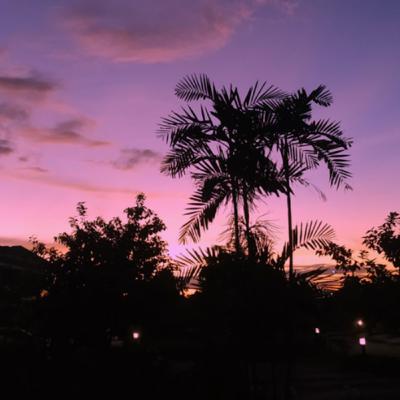 Perjalanan (1990) | Marianne Katopo