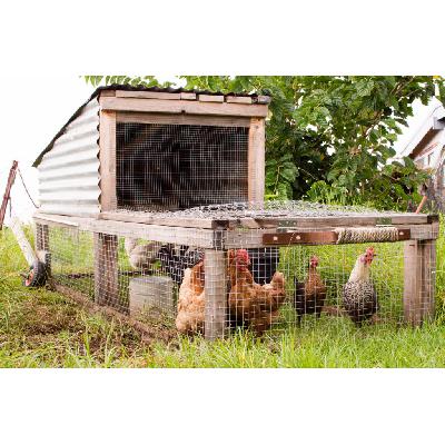 Coops, Brooders, and Chicken Houses Coops, Brooders, and Chicken Houses
