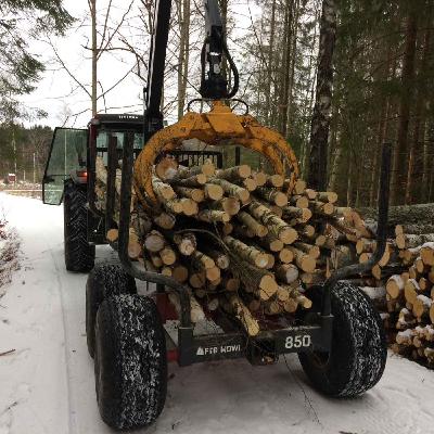 Avsnitt 65 - Hur dela upp trädet på bästa sätt?