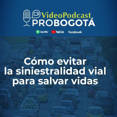 Cómo evitar la siniestralidad vial para salvar vidas Cómo evitar la siniestralidad vial para salvar vidas