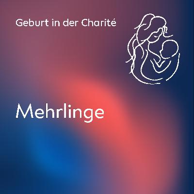 Mehrlinge Mehrlinge
