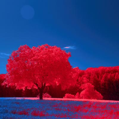 Ep. 517 Meditazione su sensazioni e pensieri