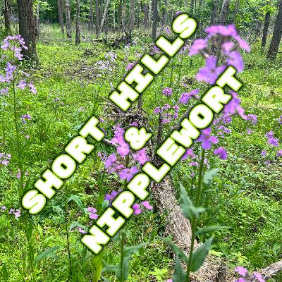 Short Hills Niagara Region and Nipplewort Short Hills Niagara Region and Nipplewort