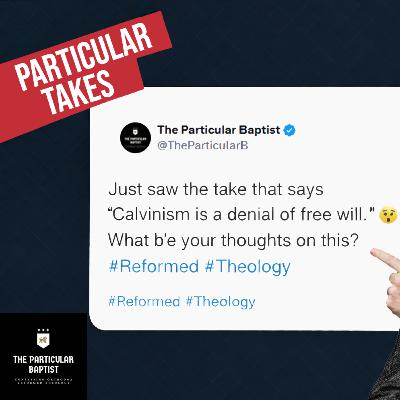 New Podcast Announcement: Particular Takes New Podcast Announcement: Particular Takes