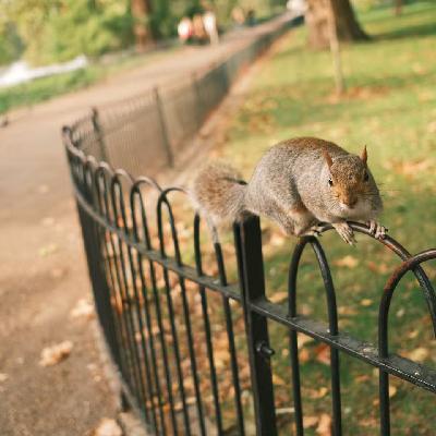 24 🇬🇧 逃离北京 搬去伦敦 真正的伦敦生活让人又爱又恨 24 🇬🇧 逃离北京 搬去伦敦 真正的伦敦生活让人又爱又恨