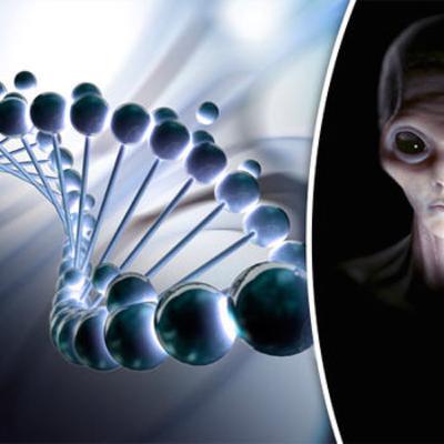 DNA cloning.