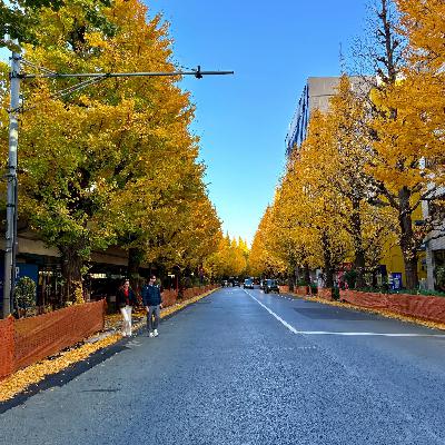 素直にお礼を言える関係性はさ、「安心」という名の紅葉通り 素直にお礼を言える関係性はさ、「安心」という名の紅葉通り