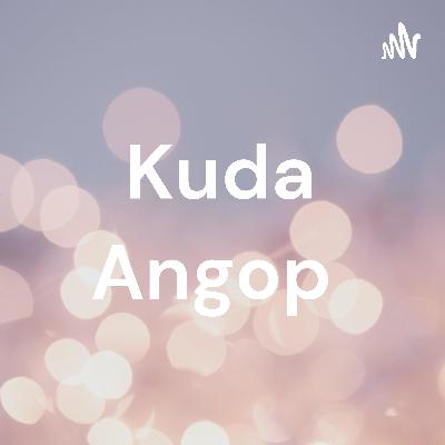 Halok