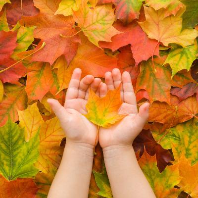 La estación azul de los niños: LEAN - Como hojas que se caen - 22/11/25