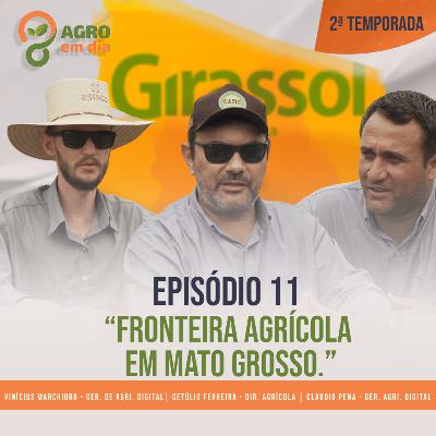 NORTÃO - Nova fronteira agrícola em Mato Grosso - Agro em Dia