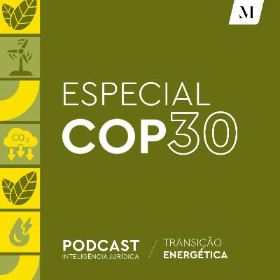 Série Transição Energética – Especial COP30: Tributação de ativos ambientais