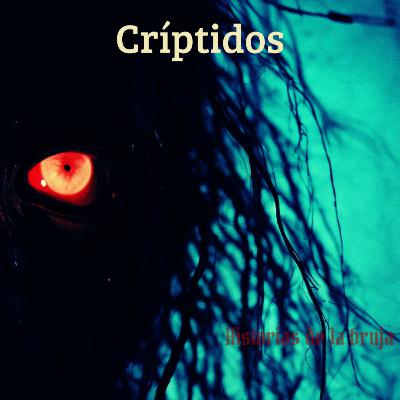 22- Críptidos