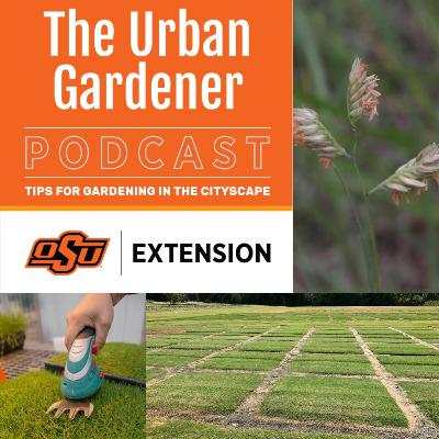 Episode 51: Beat the Heat, Part 2