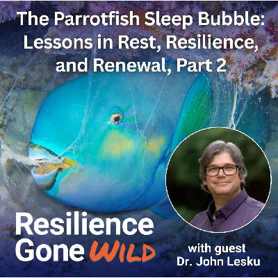 The Parrotfish Sleep Bubble: Lessons in Rest, Resilience, and Renewal, with guest Dr. John Lesku, Part 2