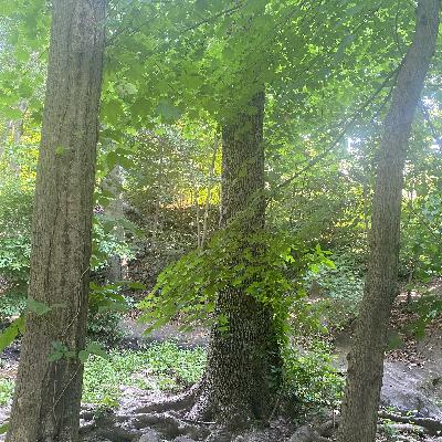 7つの習慣からの気づき