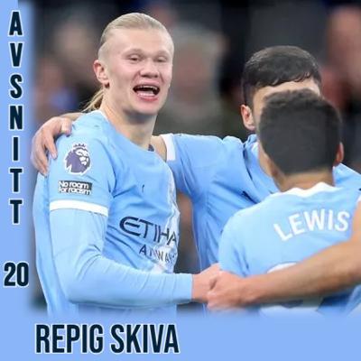 #20 - Repig skiva