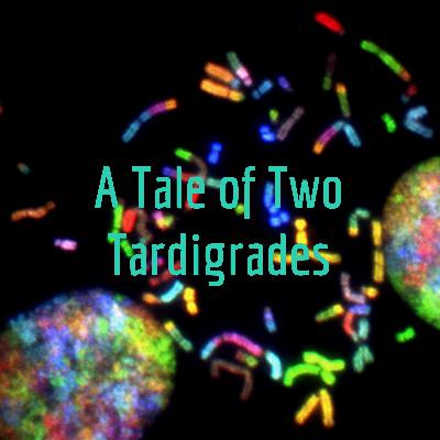 Episode 30: A Tale of Two Tardigrades!