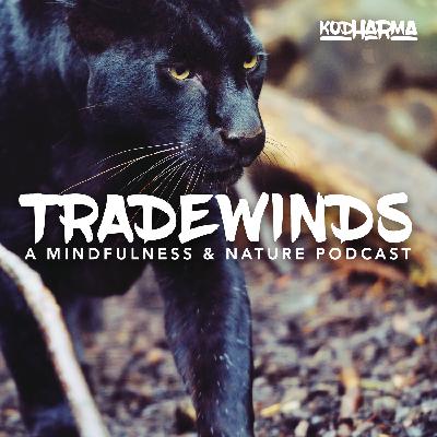 Ep. 2: Big Cats and Clean Seas