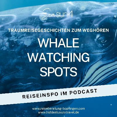 Folge 36 Seasun 4: Traumreisegeschichten zum Weghören - Deinen allerersten Wal vergisst du niemals: Die besten Spots für Walbeobachtungen weltweit