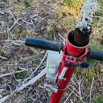 Avsnitt 33 - Plantering, plantering, plantering!