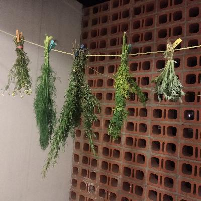 01 herbolaria y tienda esoterica las diosas 01 herbolaria y tienda esoterica las diosas