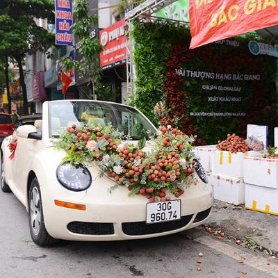 Xe hoa kết bằng trái vải độc nhất vô nhị chỉ có tại Việt Nam