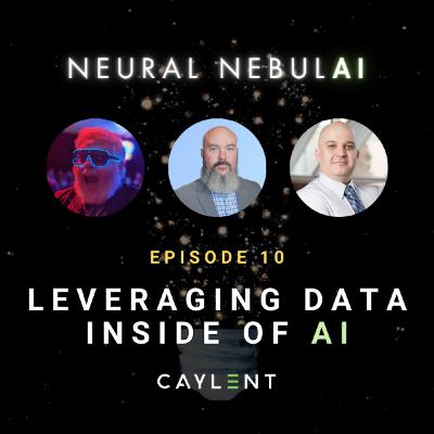 Leveraging Data Inside of AI