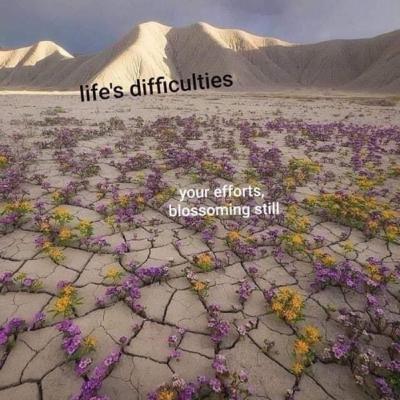 Think It(part 2 of Think It. Speak It. Do It. See It.)