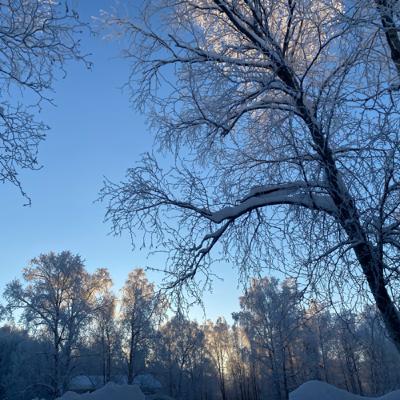 Reflection and Reset
