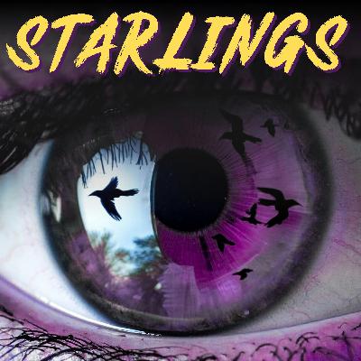 Starlings