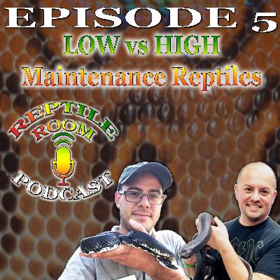 Episode 5: Low vs. High Maintenance Reptiles