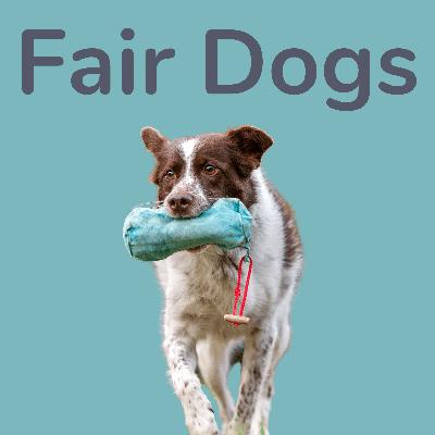 6. Pia-Céline Delfau über Psychologie im Hundetraining 6. Pia-Céline Delfau über Psychologie im Hundetraining