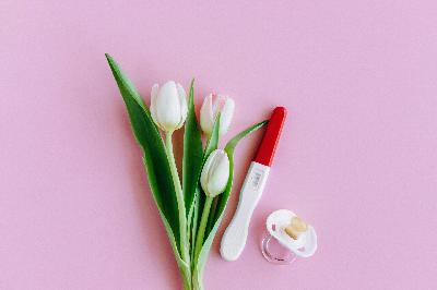 Breaking barriers in fertility: Australia’s first uterus transplant birth Breaking barriers in fertility: Australia’s first uterus transplant birth