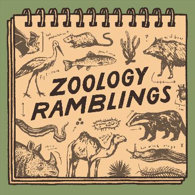 Episode 35: reviewing Attenborough's Oceans film, Aesculapian snakes, proboscis bats, ladybird swarms, dholes in Europe, biofluorescent marsupials & little kiwi rediscovered