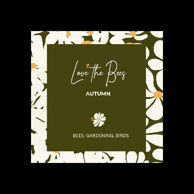 Autumn   - Tips for the garden this season; The Asian Hornet In Ireland; Getting your bee hives winter ready and Bird Migration.