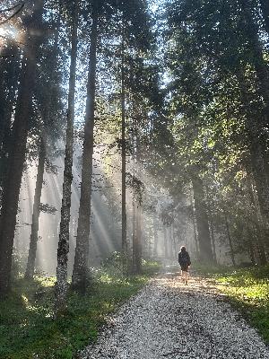🙉 A1/A2 | Dolomiti: bellezze e confini